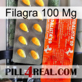 Filagra 100Mg new01